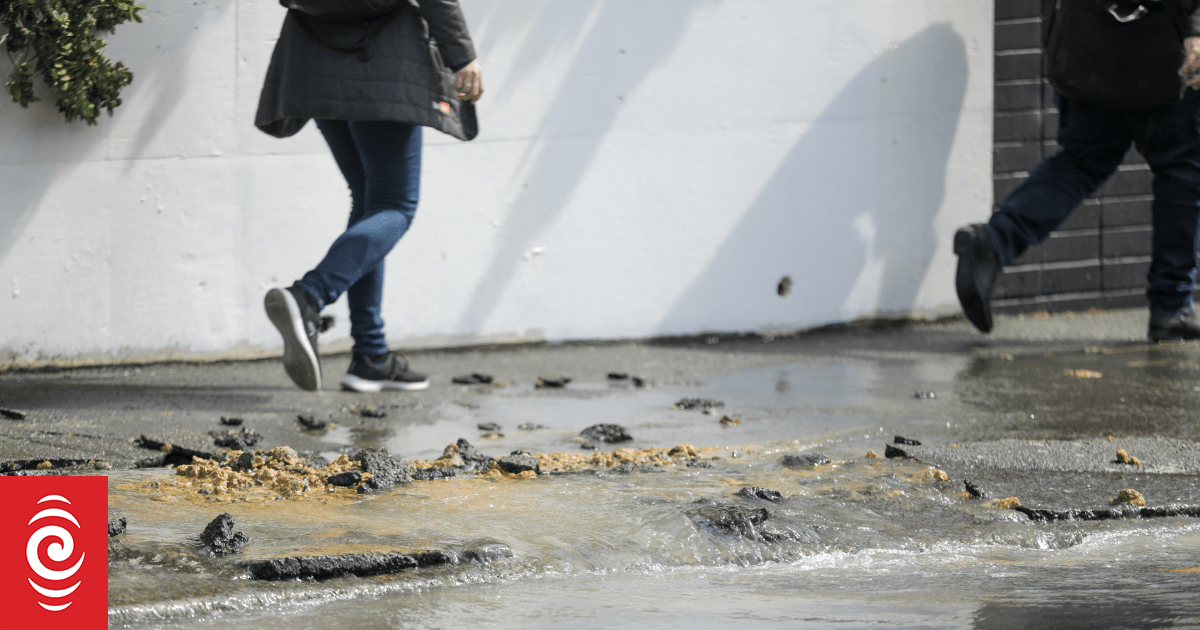 Burst pipe cuts water to three Wellington suburbs