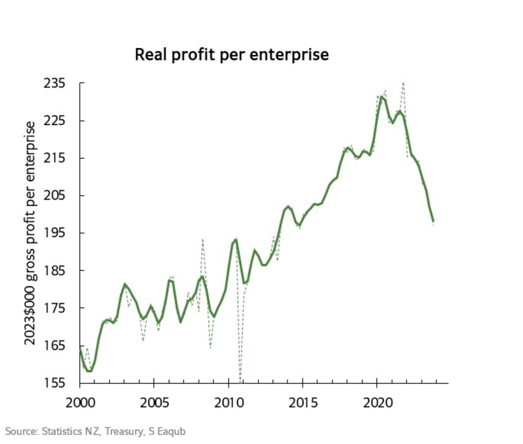 Independent economist Shamubeel Eaqub had been tracking real profits per enterprise for years.