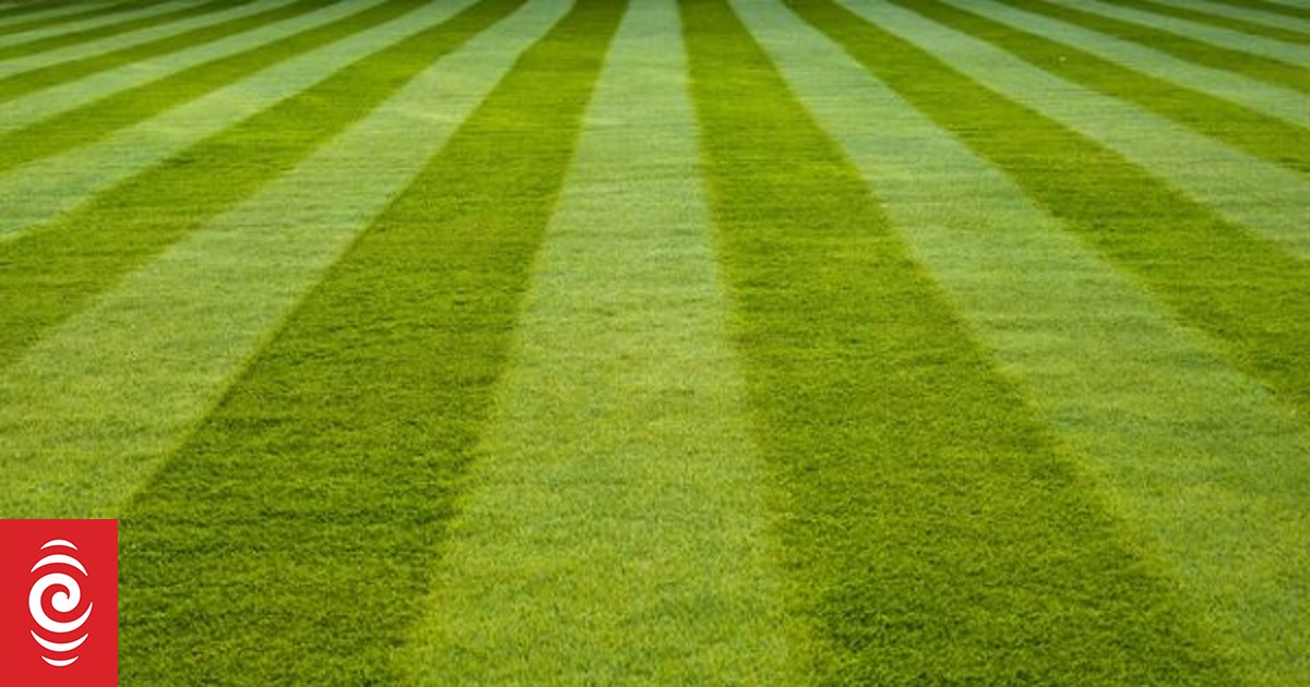 The best lawnmower ever?