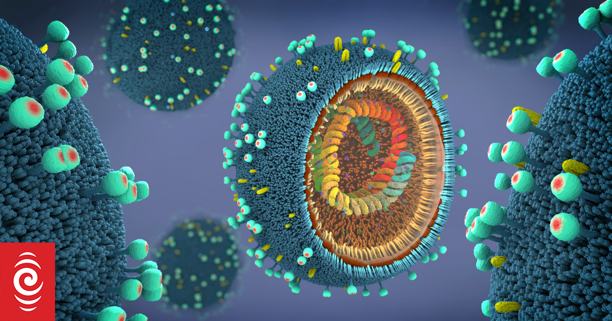 Epidemiologist says influeneza vaccine can reduce risk of heart attacks