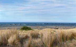 Some parts of the Marlborough coastline affected by the Kaikōura earthquake may be more vulnerable to vehicle damage.