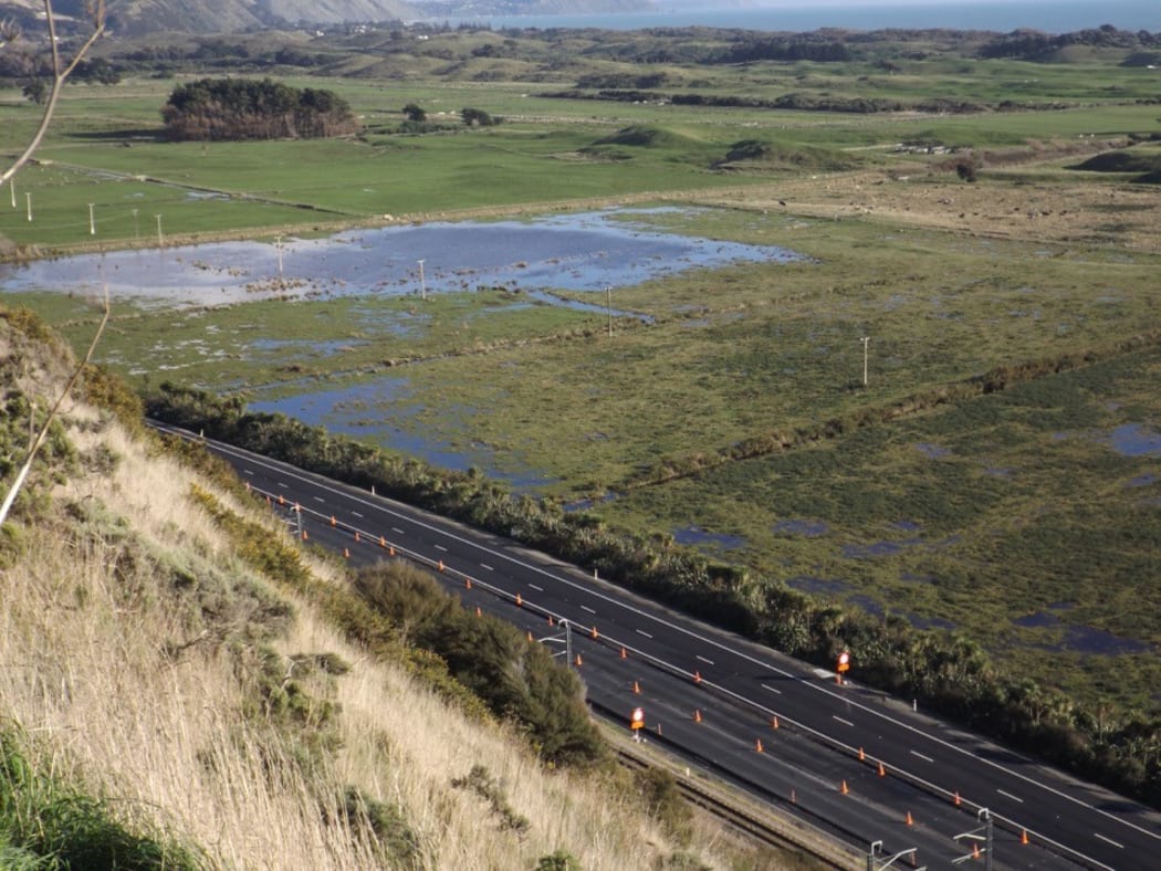 Wetlands at Queen Elizabeth Park