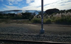 The vegetation fire near Paremata train station in Porirua.