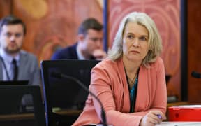 Labour MP Ingrid Leary in select committee