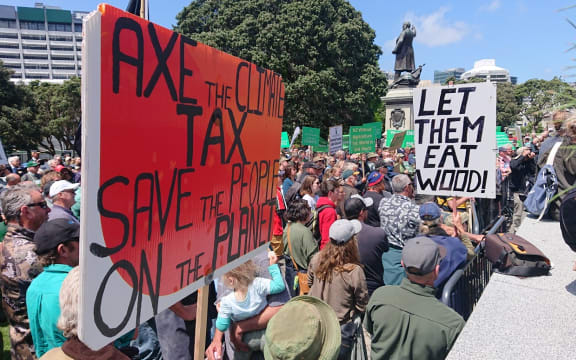 Farmers protest at Parliament over the growth of forestry in New Zealand.