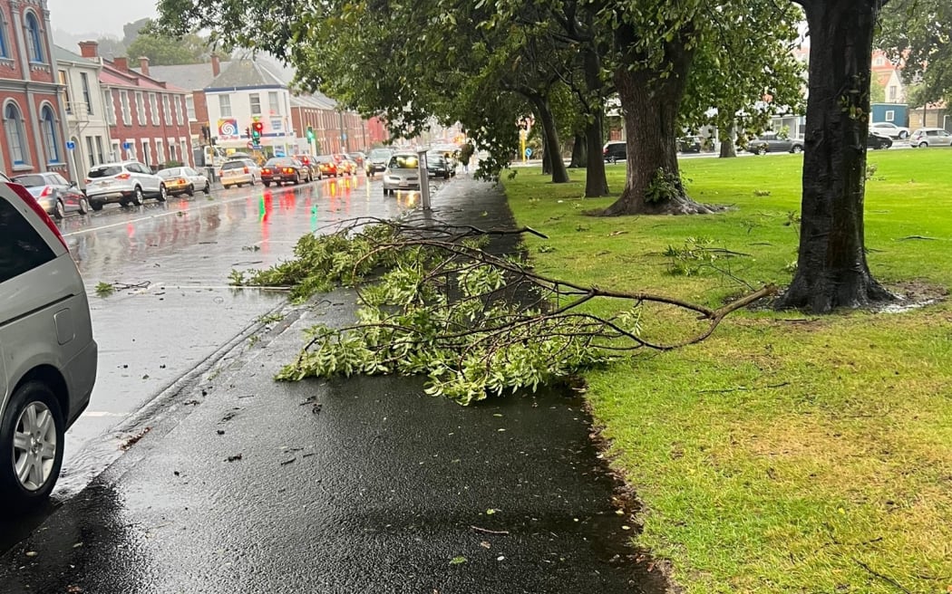 Wet weather and strong winds are affecting Dunedin this morning.