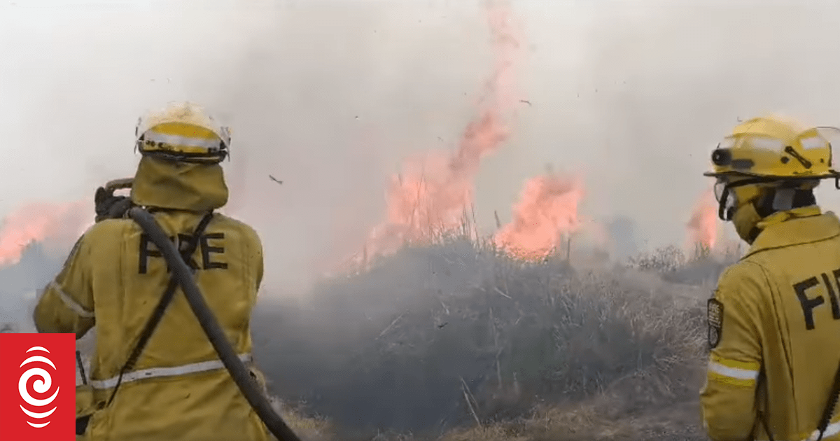 Matakana Island blaze: Firefighters to continue putting out hotspots until Wednesday - Vimarsana News