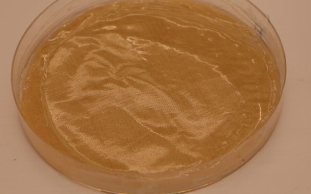 An image of the dried "film", ready for use in packaging or storage. The film is circular and roughly the size of a saucer. It is a light tea colour and the thickness of a sheet of paper.