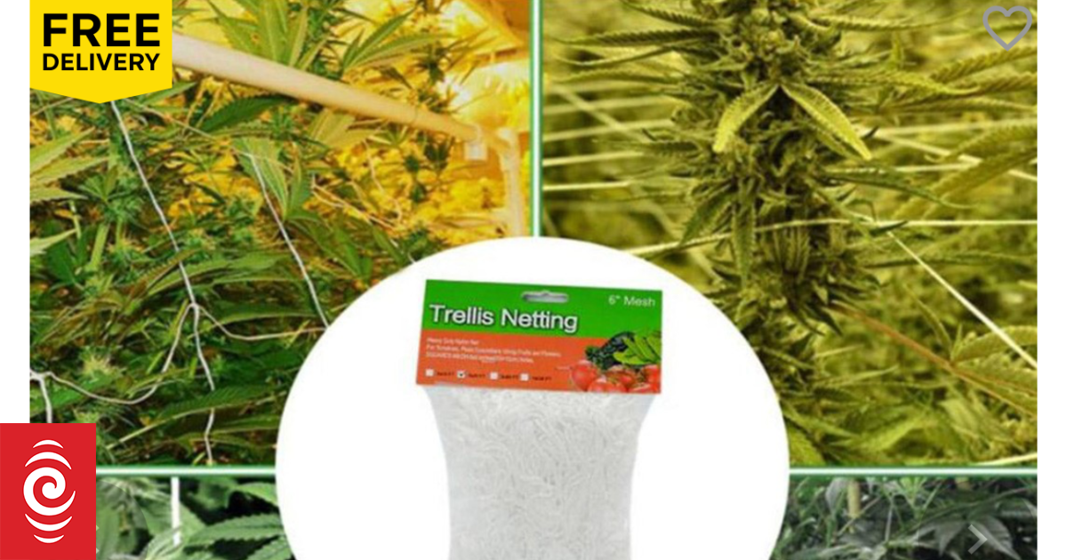 The Warehouse removes suspicious product from sale - Vimarsana News