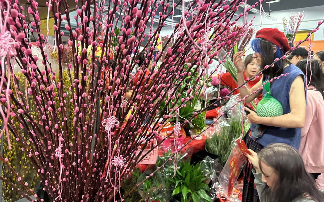 NZ Chinese Celebrating the Year of the Dragon 2024