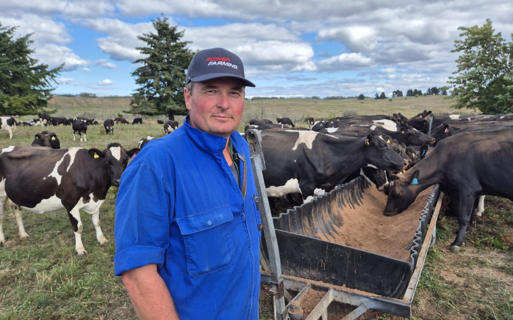 Tihoi dairy farmer Richard Webber is feeding palm kernal to keep condition on his cows, but says milk production has dropped 10 percent due to the drought