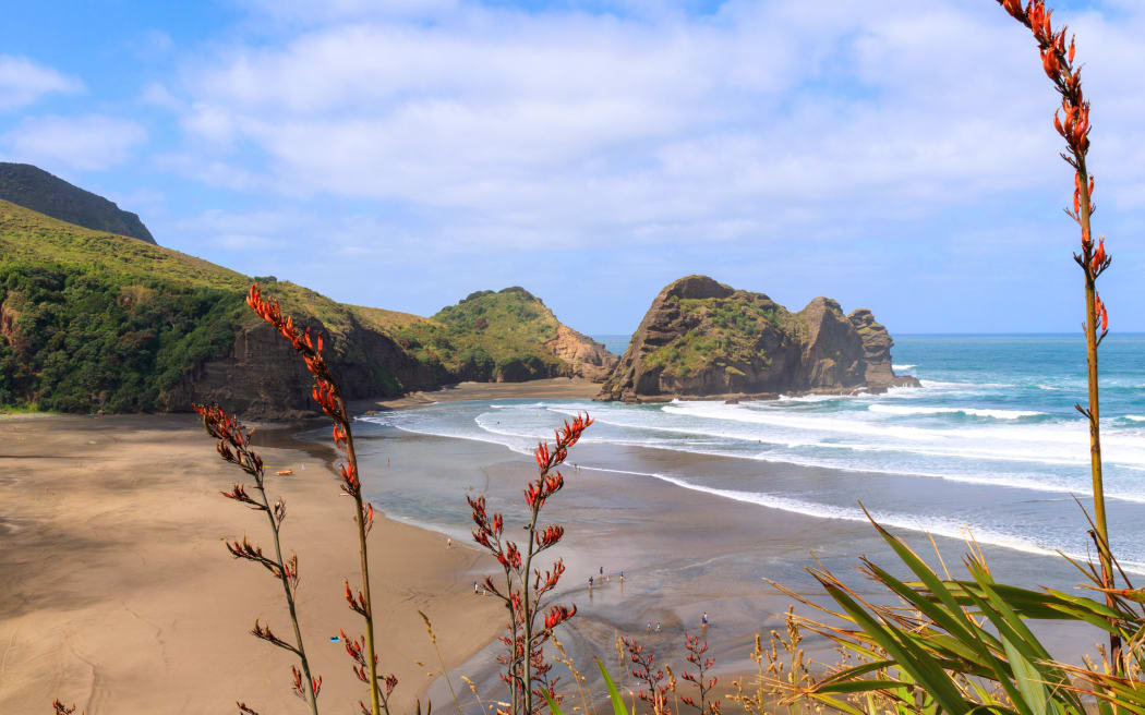 Piha Beach andTaitomo Island