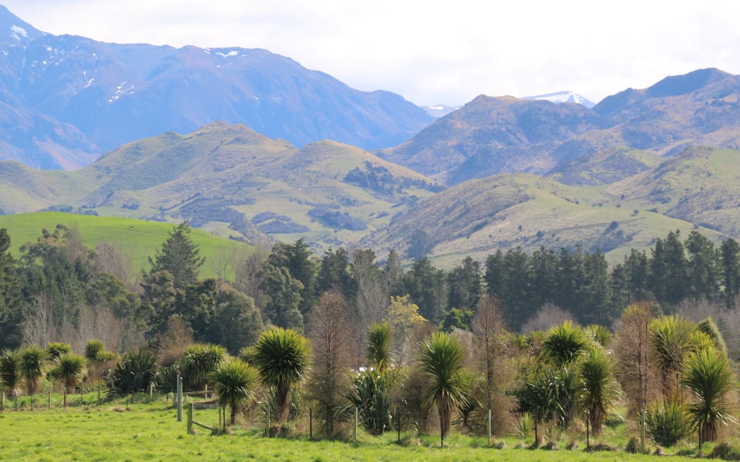 Kiaora Downs