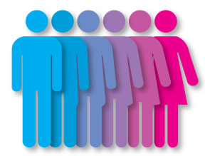 Gender spectrum