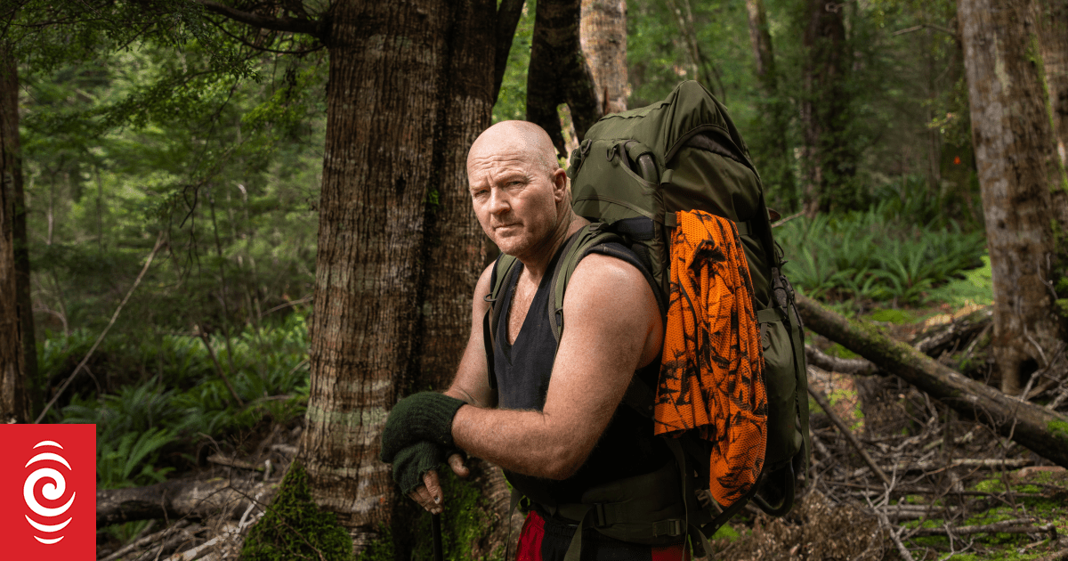 A permit for trapping feral cats may get much easier to obtain after a U-turn by DOC