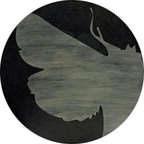 Ahi Pepe, moth art by Mark Sharma