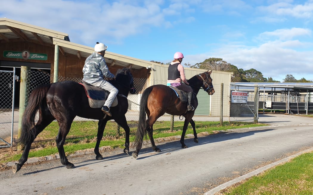 Race horses at New Plymouth raceway return to the stables after training.
