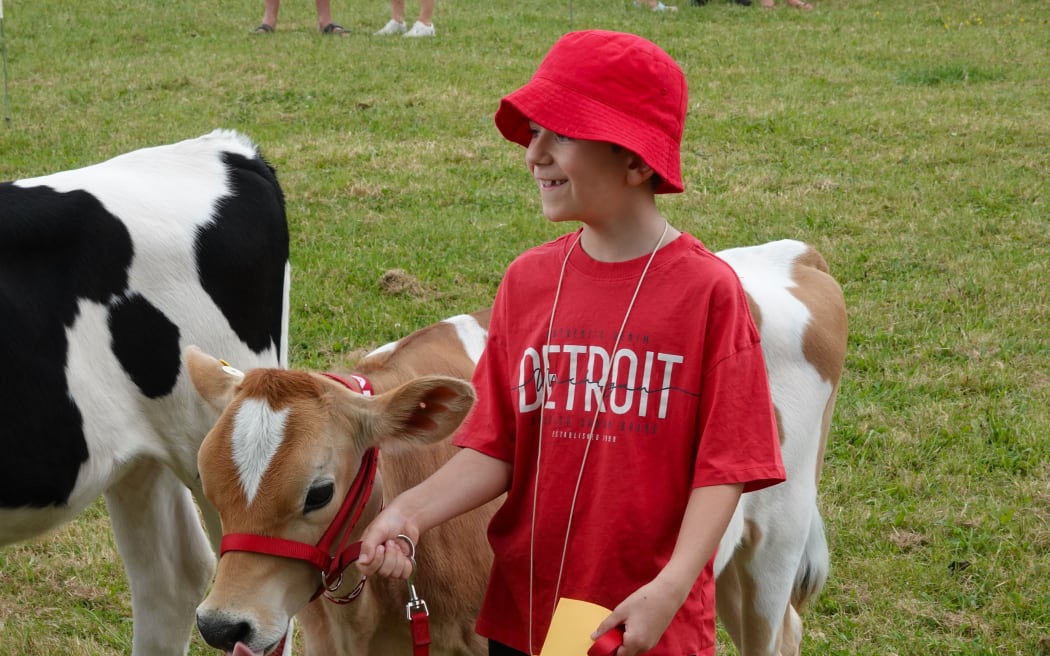 Eight-year-old Casey Williams, from Whangārei, reacts after winning first place with his Jersey calf Joanna.