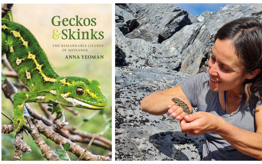 Anna Yeoman, author of Geckos & Skinks