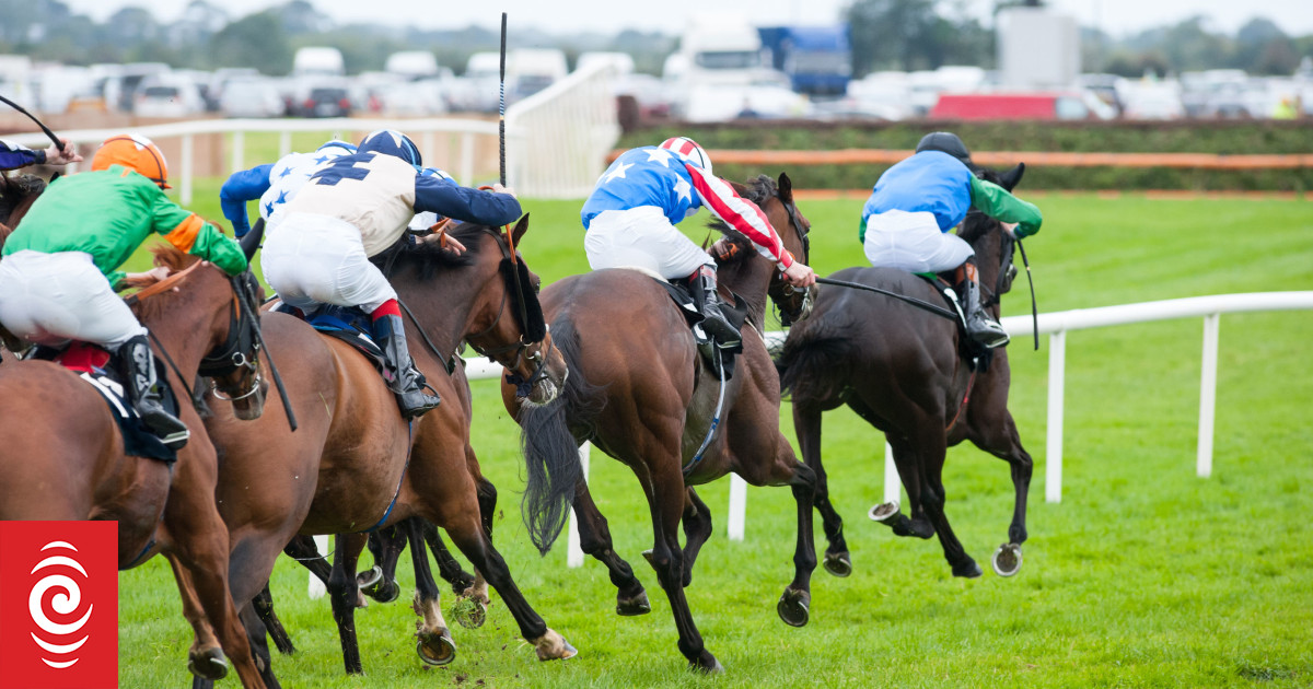 競馬は縮小され、その後禁止されるべきだと動物愛護団体が語る