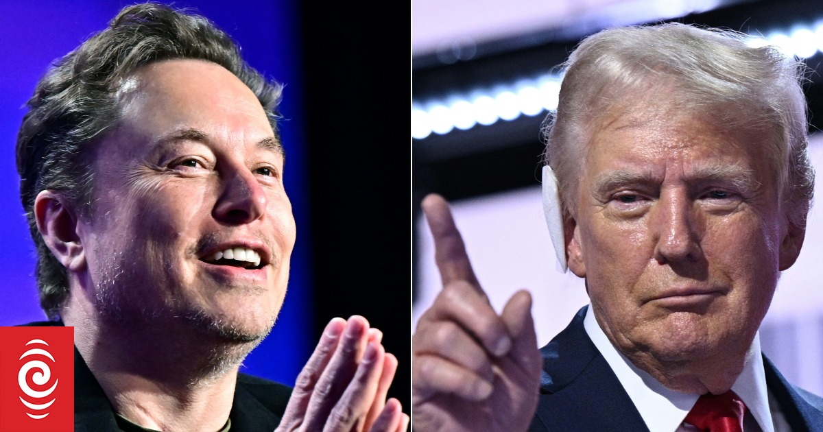 Trump says he will appoint Elon Musk head of government efficiency ...