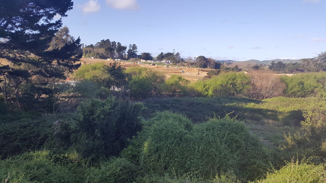 When the Keneperu Landing subdivision is completed, Mitchell's Stream (hidden by weedy bushes in this photo) will be restored with new riparian plantings to provide shade.