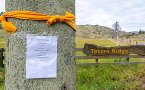 A yellow ribbon, along with notices asking vandals to leave the tree alone, have been tied to the pin oak tree on the corner of Maraetotara Road and Robert Lane.