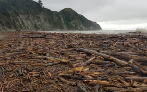 Logs wash up on Tolaga Bay beach after flooding in the area.