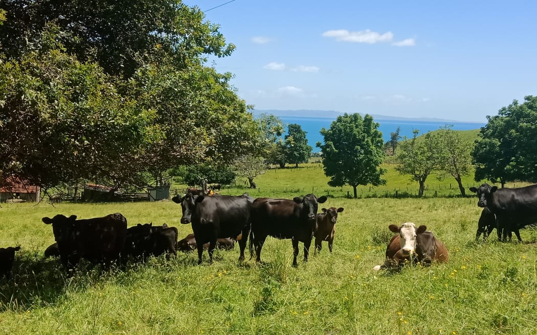 Ellis Creek Farm