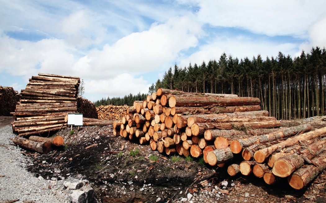 Logs stacked after an industry operation.
