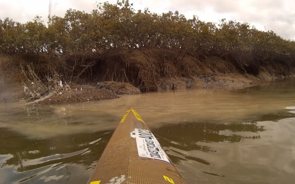 Raw sewage pollutes Henderson Creek in Auckland.