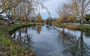 Ōpāwaho Heathcote River from Richardson Terrace.