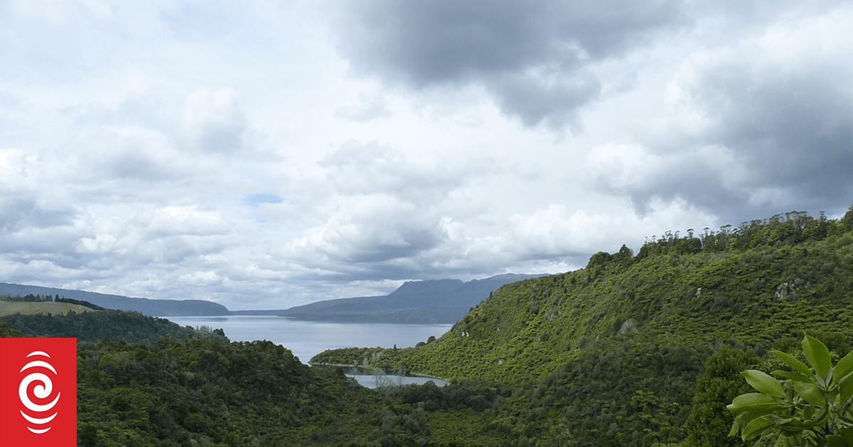 Construction of controversial sewerage pipeline near Rotorua lake heads back to court