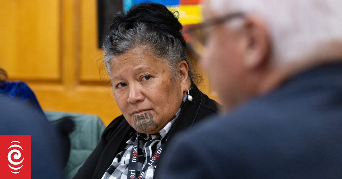 MP's comments 'bang on' despite negative response from other parties - Te Pāti Māori - Vimarsana News