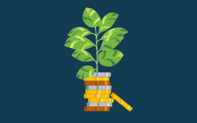 a stack of coins and a plant