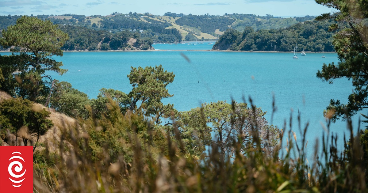 Wastewater discharge halts Mahurangi oyster harvesting