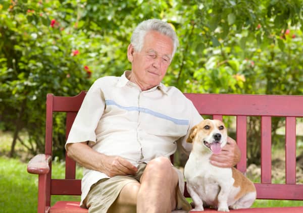Old man cuddling his dog on bench in garden
