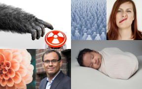 Best of 2020: Psychology