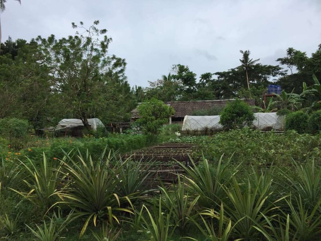 AGREA Model farm on Marinduque Island, The Philippines.
