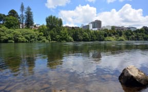 Waikato River