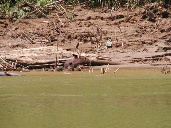 4qsrsmy gallery image 5223