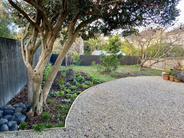 The soon-to-be meadow at Jo McCarroll's Auckland garden.