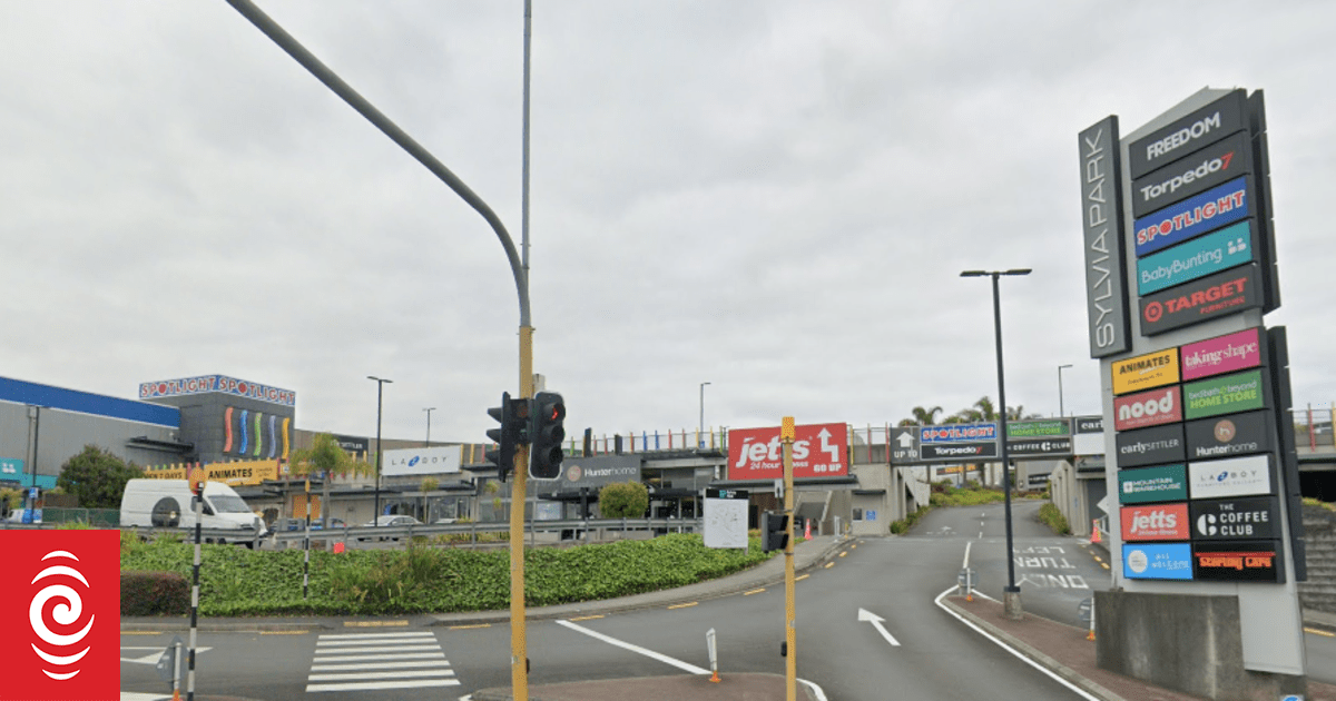 Large-format retail property next to Sylvia Park to be sold