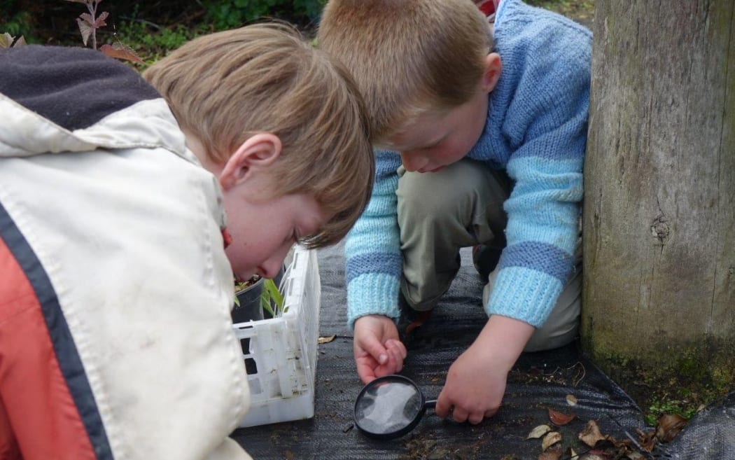 Bug collecting at Earthlore Insect Theme Park.