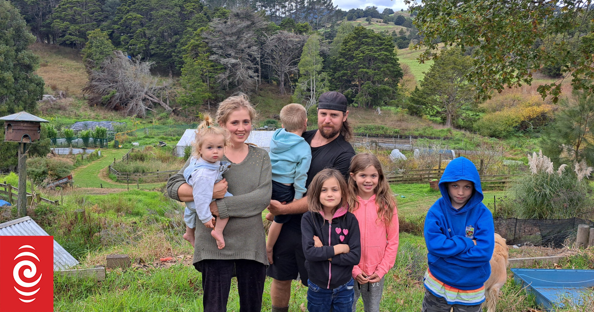 Meet the Kiwis ditching modern life and turning to the homesteading lifestyle