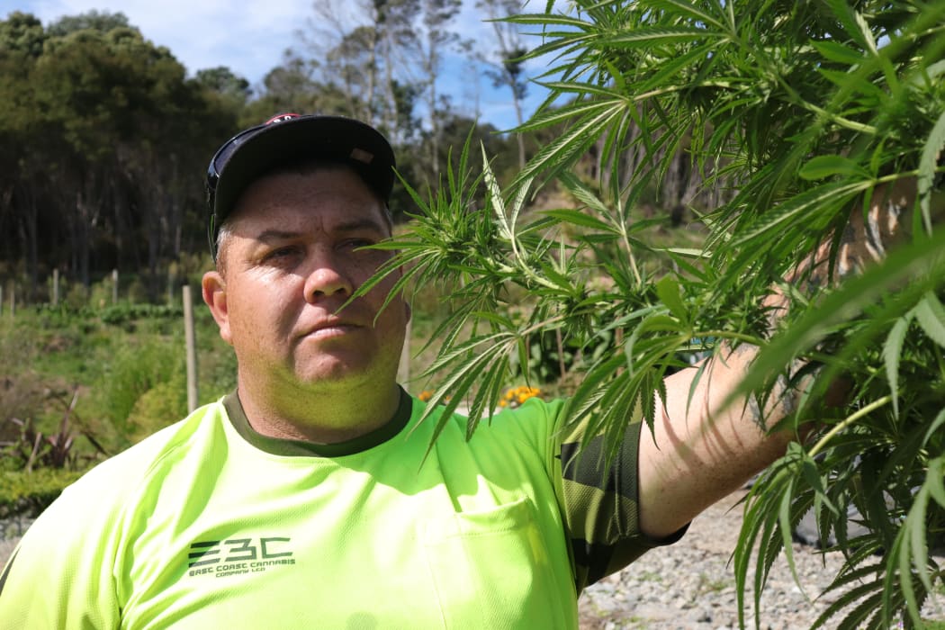 Porourangi Taiwhwhirangi of the East Coast Cannabis company say people look for a fix and if they can’t get cannabis, they could go for meth.