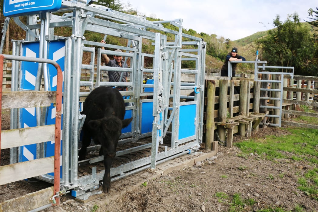 A year on the farm