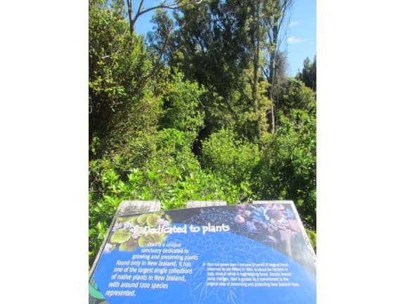4plrj3u gallery image 12482