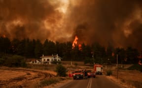 Firefighters stand on a road as flames rise from a forest in the background in the village of Kyrynthos, in the north of Evia Island .
