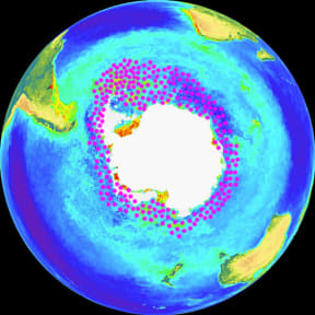 Where krill are found – concentrated round the Antarctic Peninsula